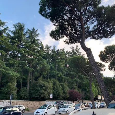 396 بيت ضيافة