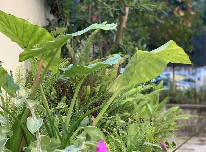 396 بيت ضيافة 3*