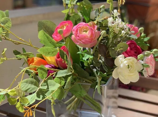 396 بيت ضيافة روما