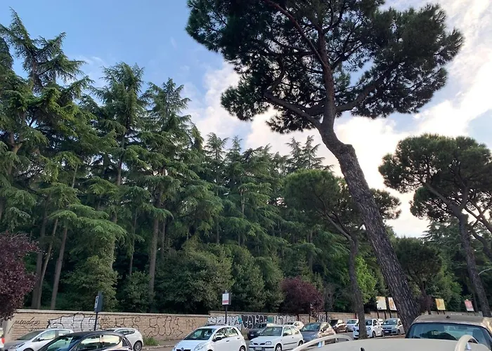 396 بيت ضيافة