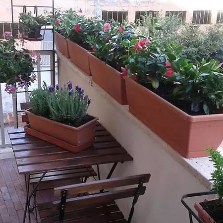 게스트하우스 396 3*