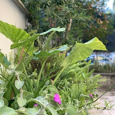 396 게스트하우스 3*